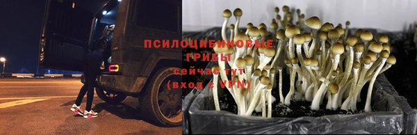 бутик Алексеевка