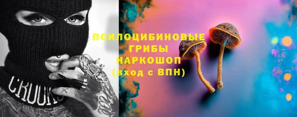 прущий лед Алзамай