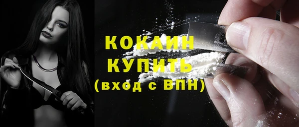 прущий лед Алзамай