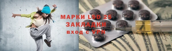 прущий лед Алзамай