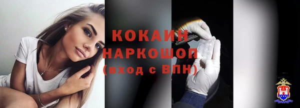 прущий лед Алзамай