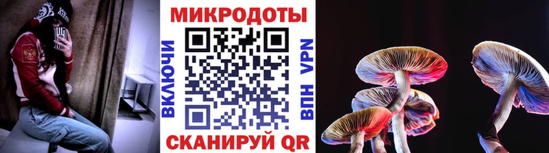ОМГ ОМГ ссылка Невьянск Псилоцибиновые грибы Psilocybine cubensis