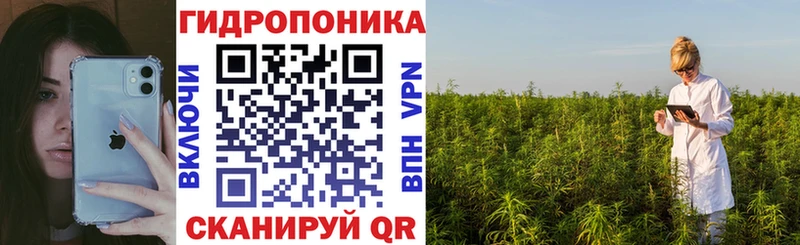 Конопля план  Невьянск 